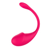 APP Remote Control Vibrator for Couples | 10 Vibration Modes